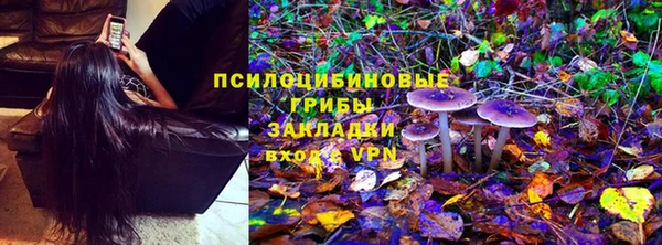 ГАЛЛЮЦИНОГЕННЫЕ ГРИБЫ Осташков