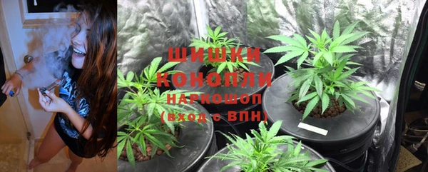 ГАЛЛЮЦИНОГЕННЫЕ ГРИБЫ Осташков