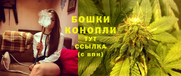 ГАЛЛЮЦИНОГЕННЫЕ ГРИБЫ Осташков