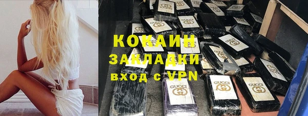 прущие грибы Пересвет