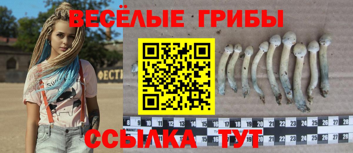 Тобольск  Галлюциногенные грибы GOLDEN TEACHER  Вход с VPN  Галлюциногенные грибы Magic Shrooms 
